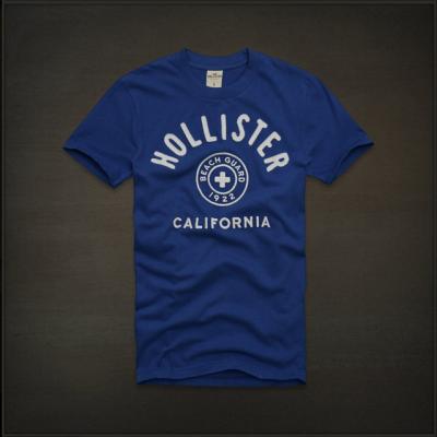 Hollister Men Shirts-403